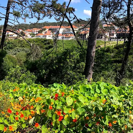 Starfish House Appartement *