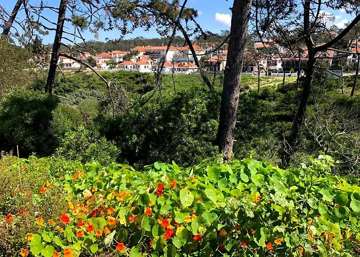 Starfish House 公寓 *