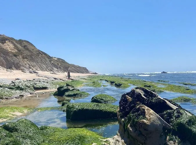 Starfish House Апартаменты *