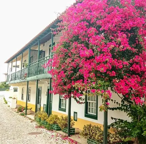 Starfish House 公寓 圣佩罗德姆